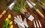 Servicios de jardinería