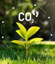 Cambio climático y huella de carbono