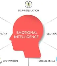 Principios básicos de la inteligencia emocional